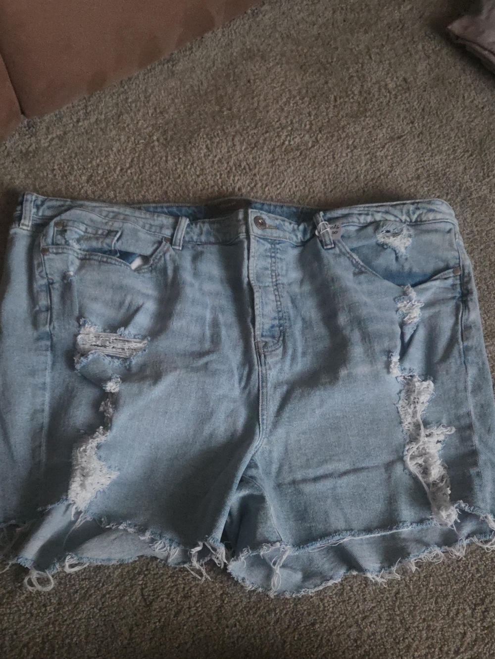 torrid Light Wash Distressed Denim Shorts